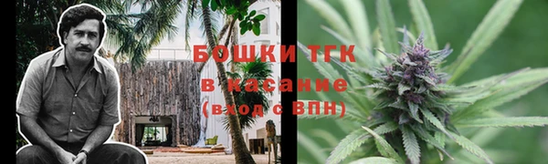 стафф Гусев