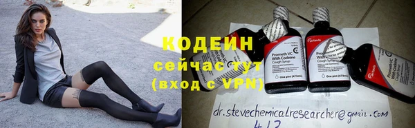 стафф Гусев