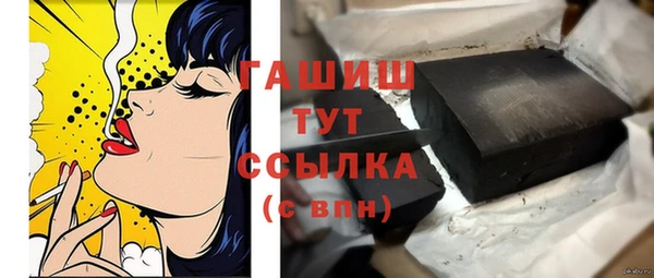 стафф Гусев