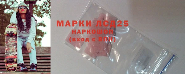 стафф Гусев