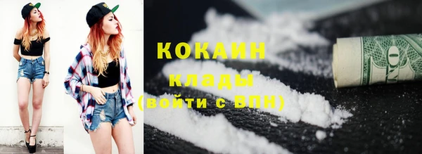 стафф Гусев