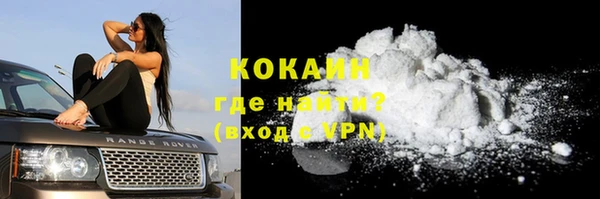 стафф Гусев