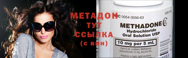 стафф Гусев