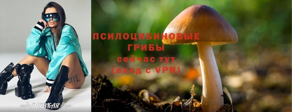 спиды Гусиноозёрск