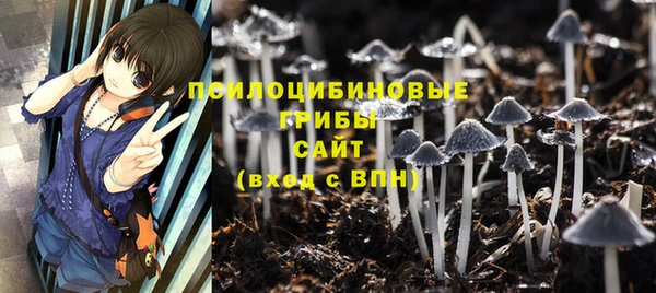 стафф Гусев