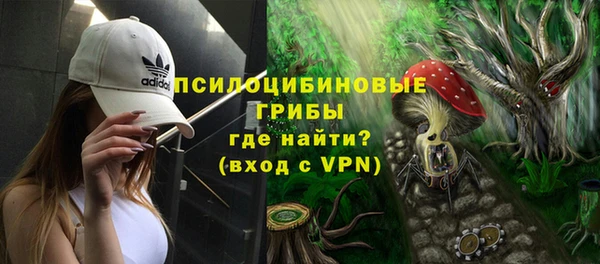 спиды Гусиноозёрск